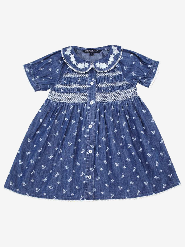 Ditsy smocked embroidered dress