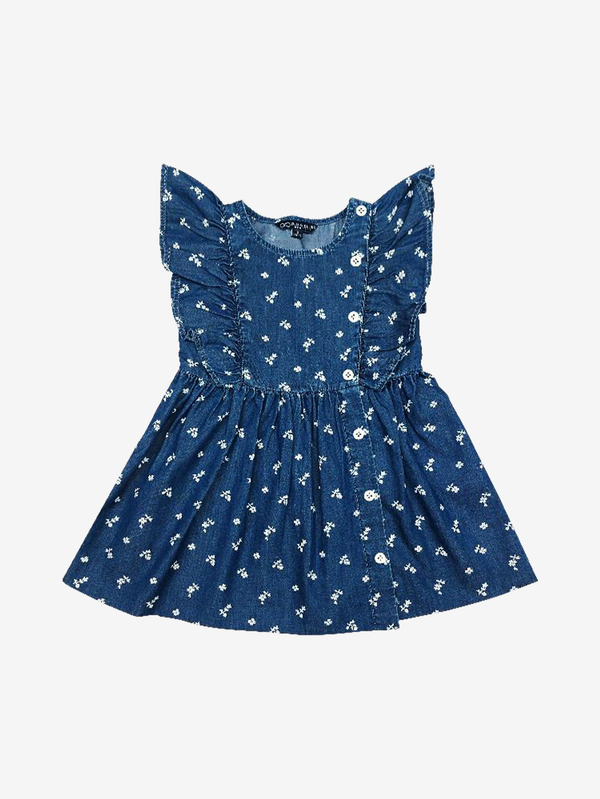 Gabby denim printed dress
