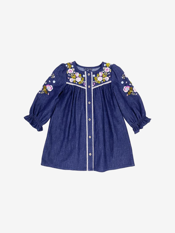 Aspen embroidered dress